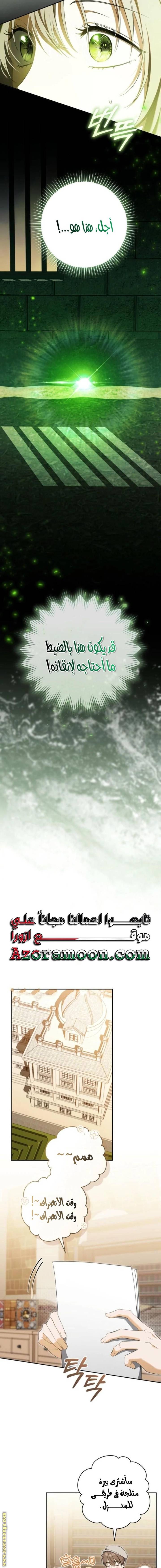 الصفحة 13
