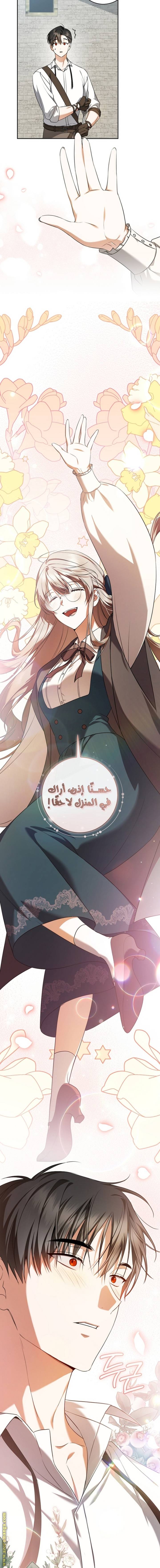 الصفحة 13
