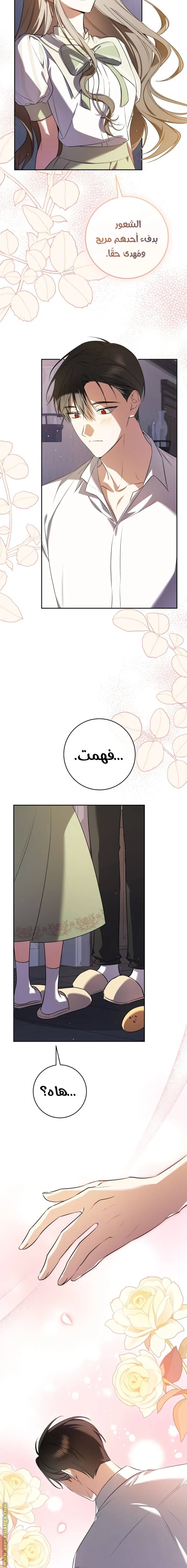 الصفحة 14