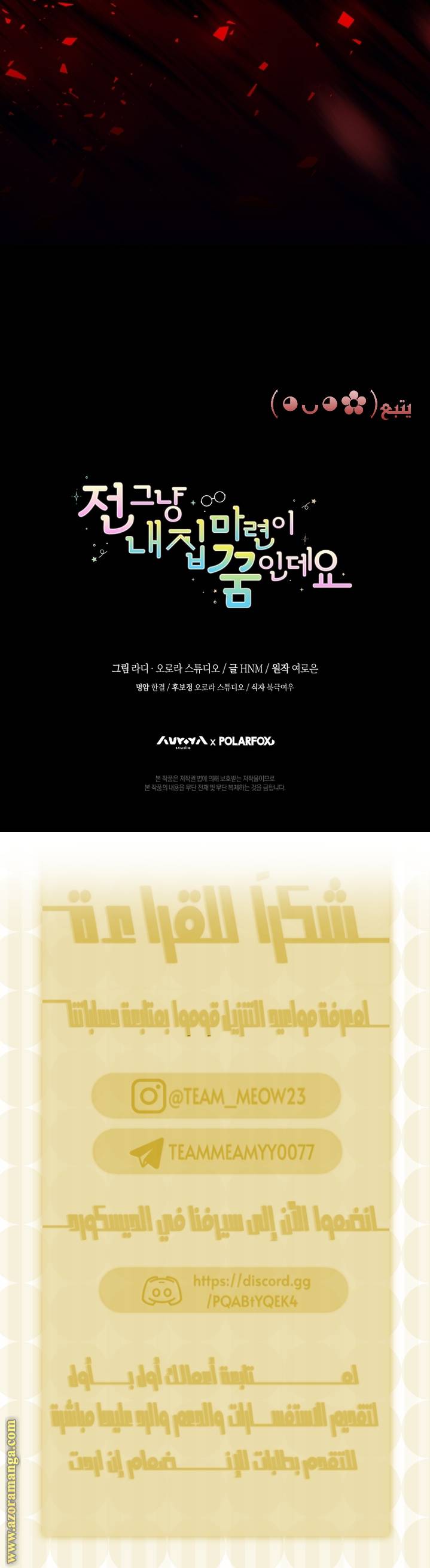 الصفحة 19