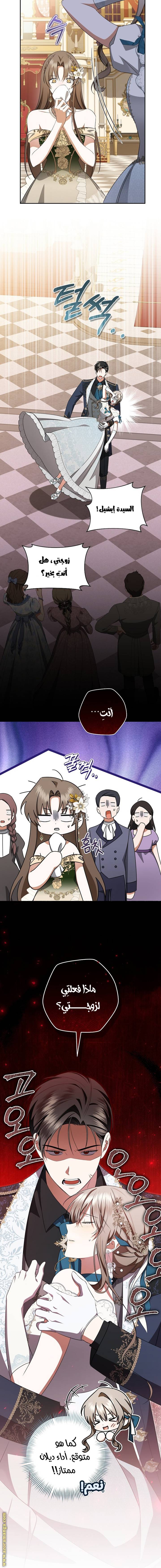الصفحة 14