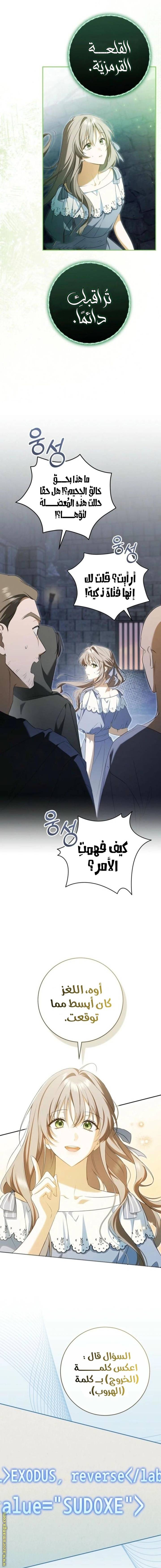 الصفحة 17