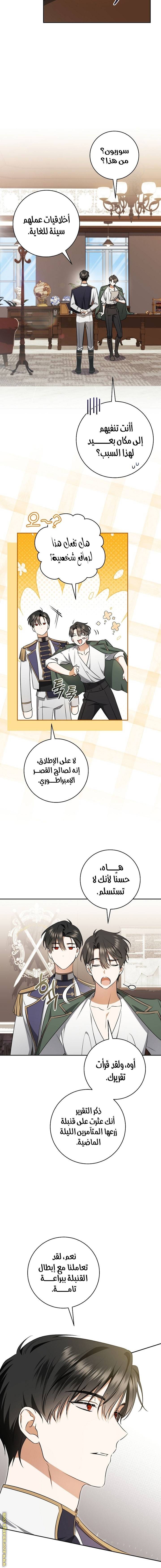 الصفحة 16