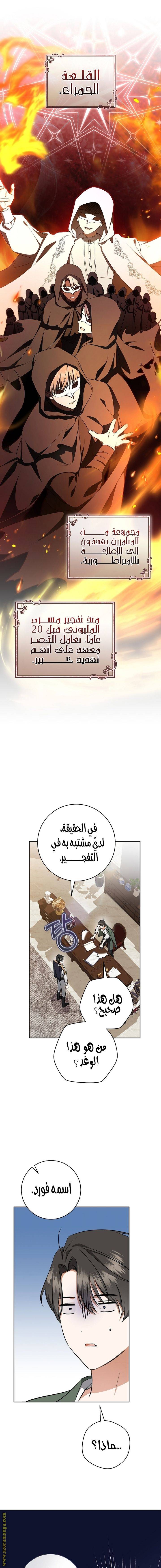الصفحة 17