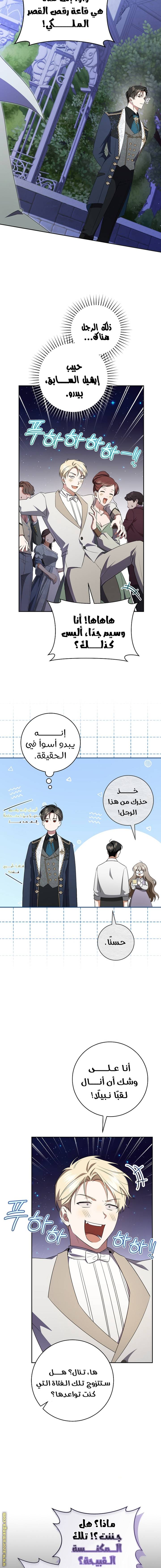 الصفحة 13