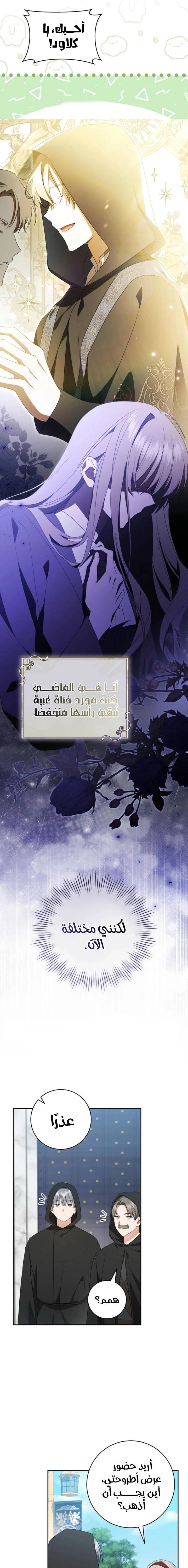 الصفحة 17