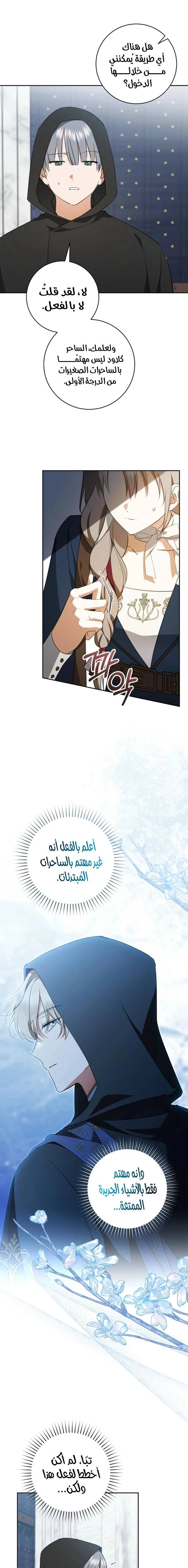 الصفحة 19