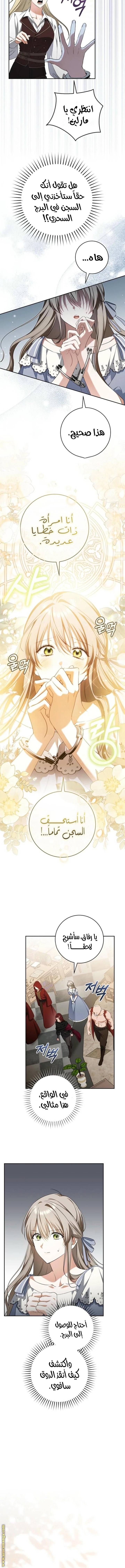 الصفحة 7