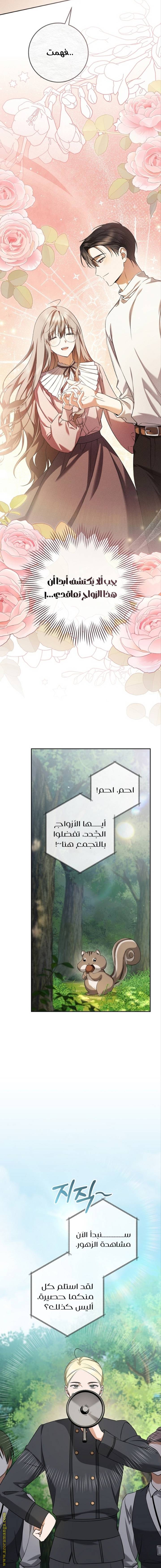 الصفحة 13
