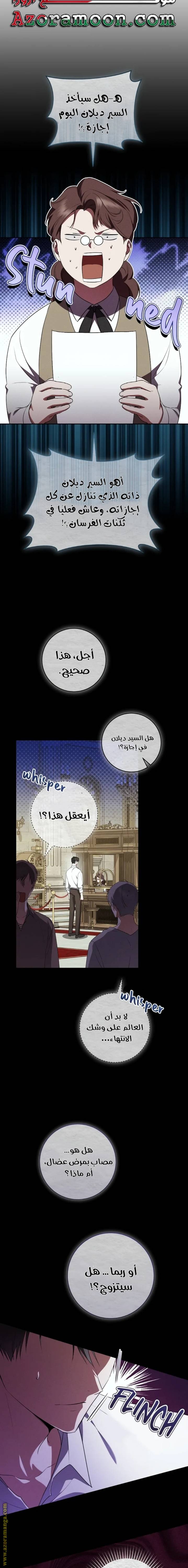 الصفحة 13