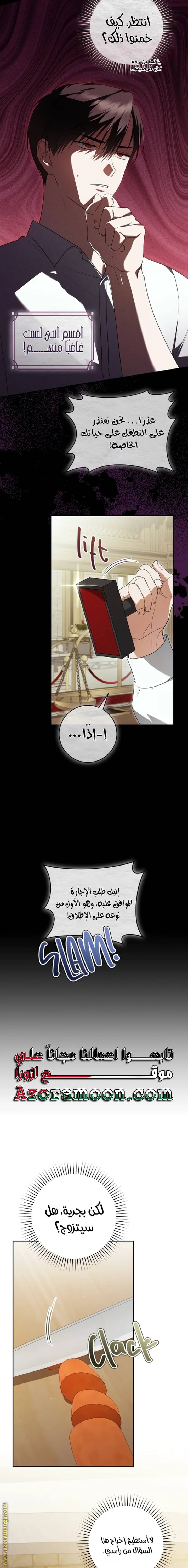 الصفحة 14