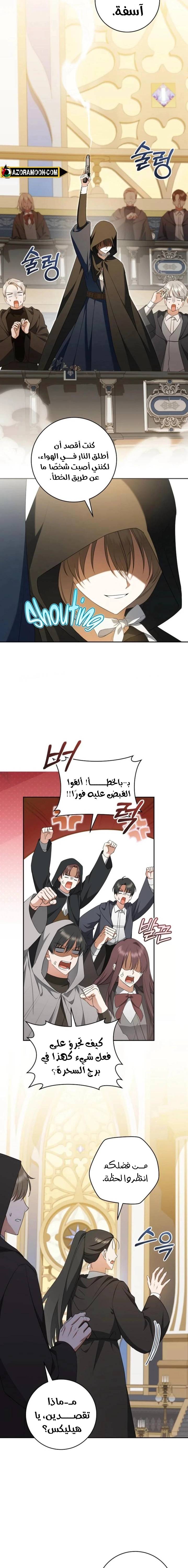 الصفحة 13