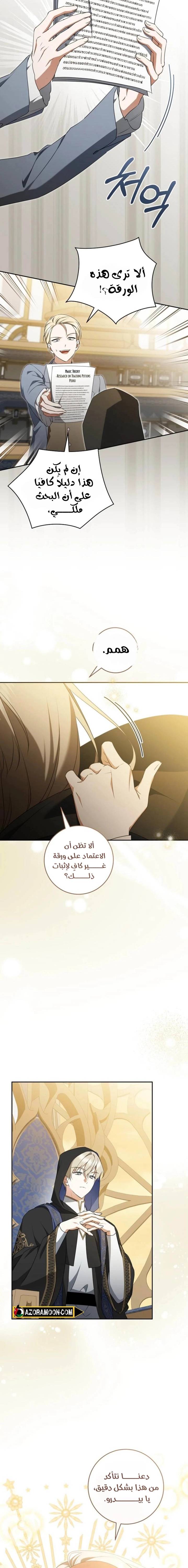 الصفحة 17