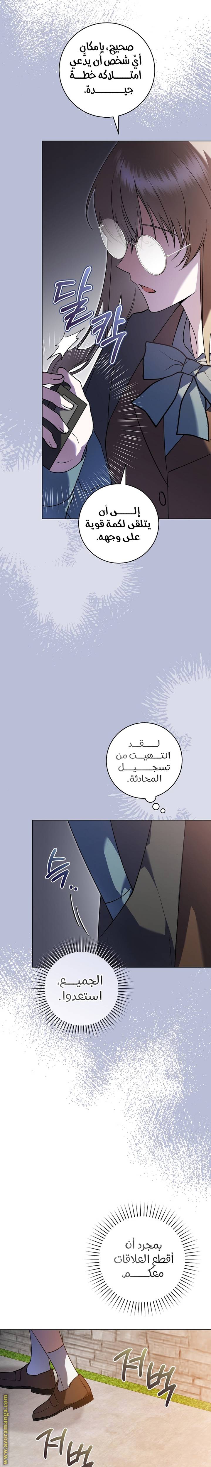 الصفحة 17