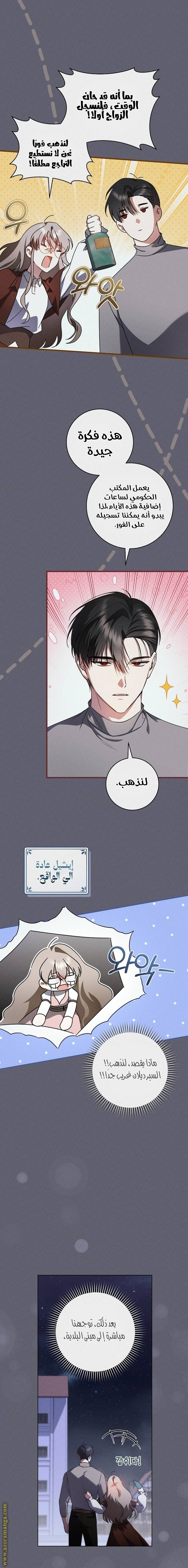 الصفحة 17
