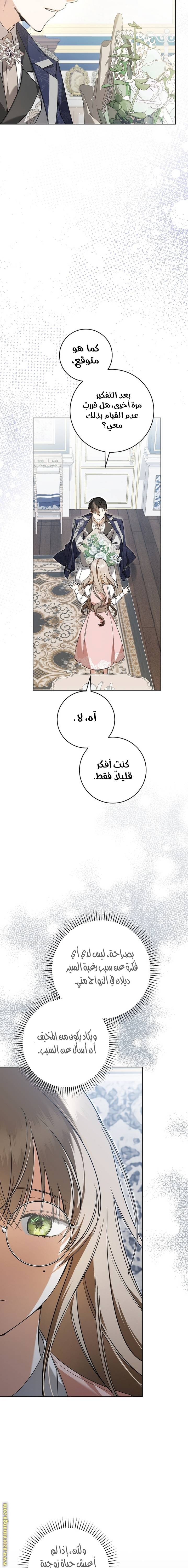 الصفحة 19