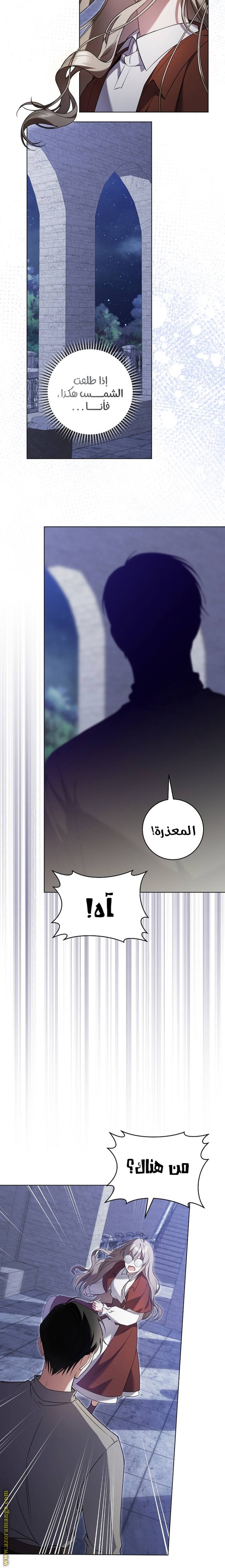 الصفحة 21