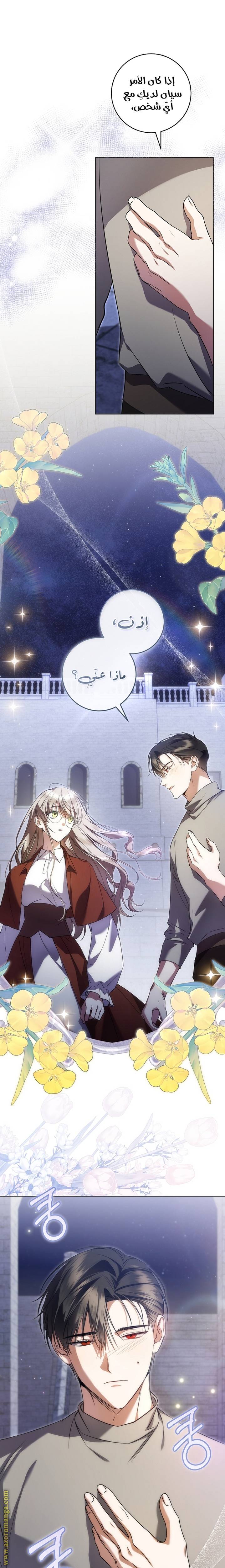 الصفحة 25