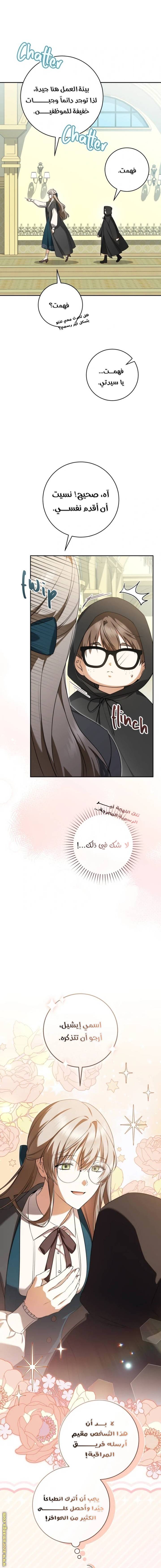 الصفحة 13
