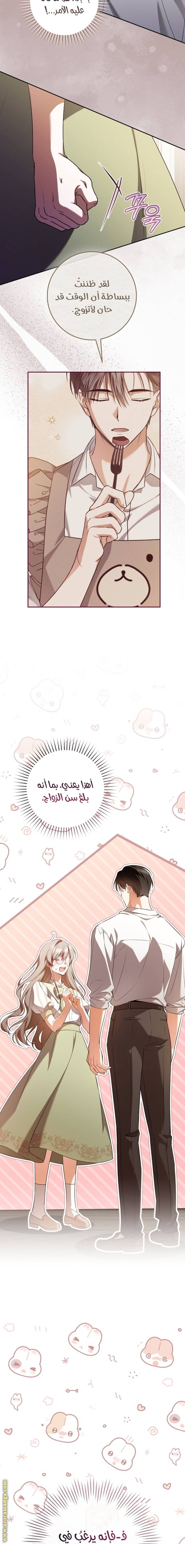 الصفحة 19