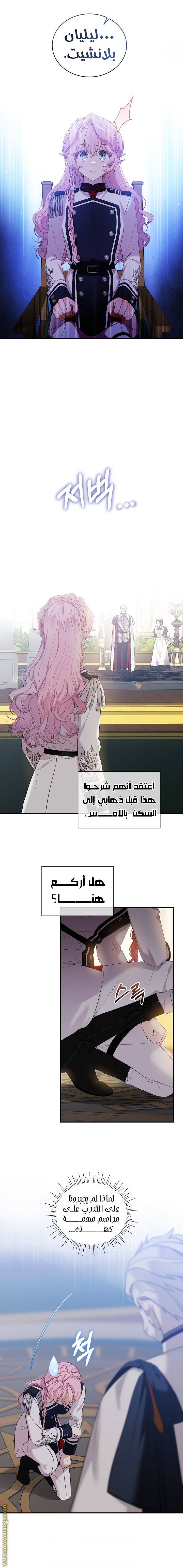 الصفحة 5