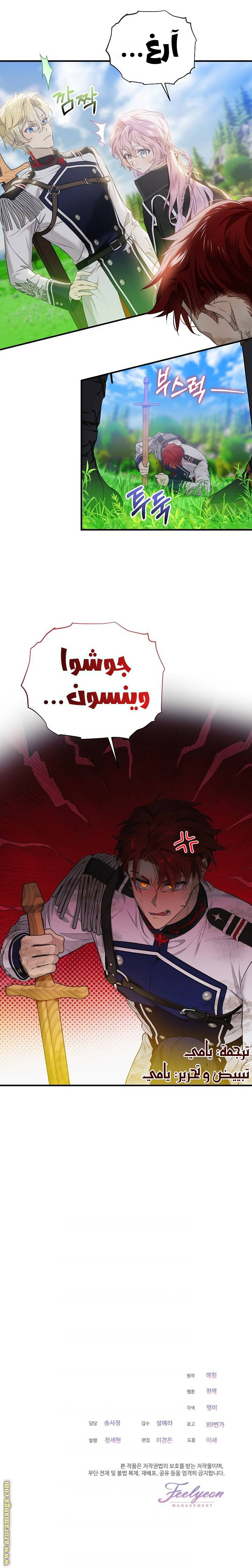 الصفحة 13