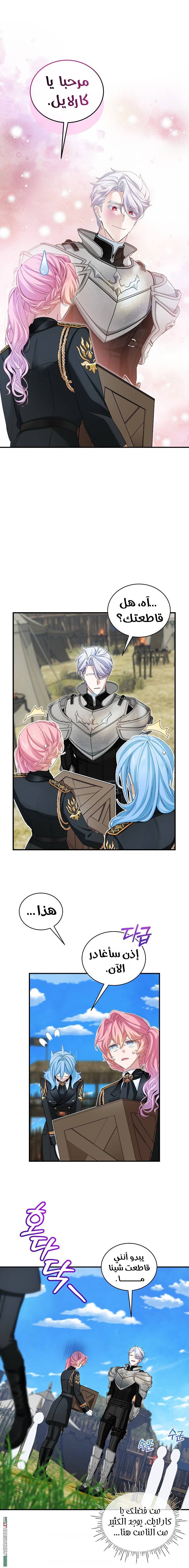 الصفحة 11