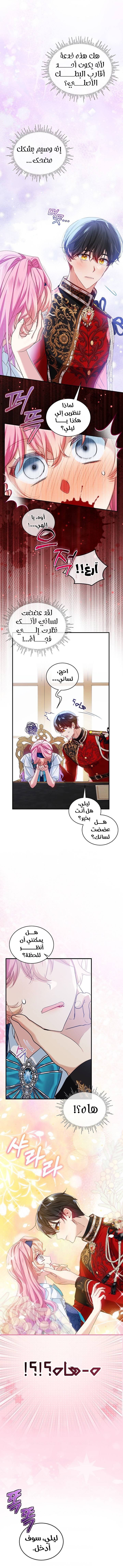 الصفحة 14