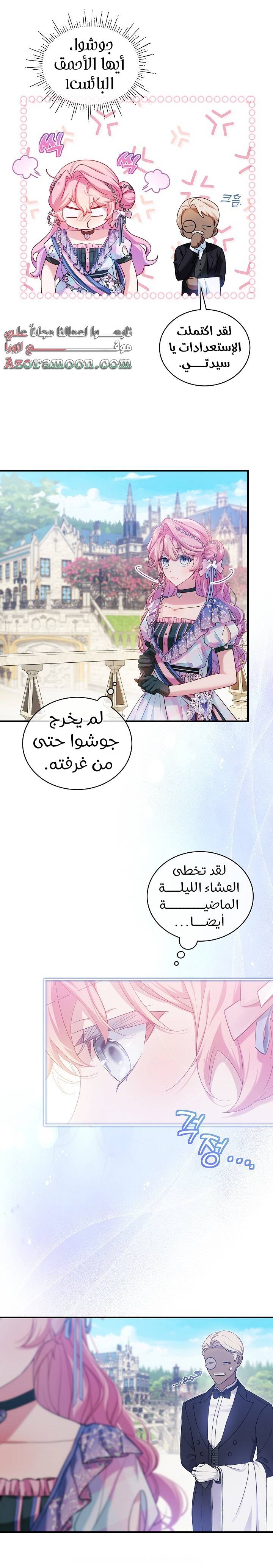 الصفحة 13