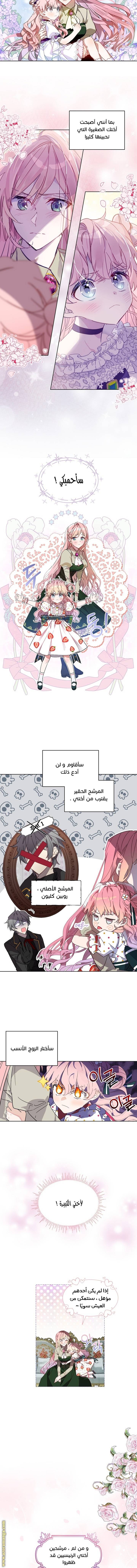 الصفحة 4