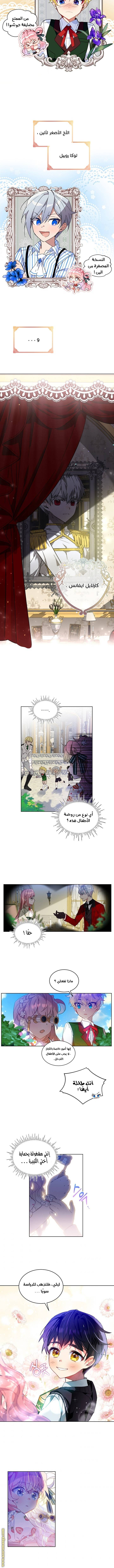 الصفحة 7