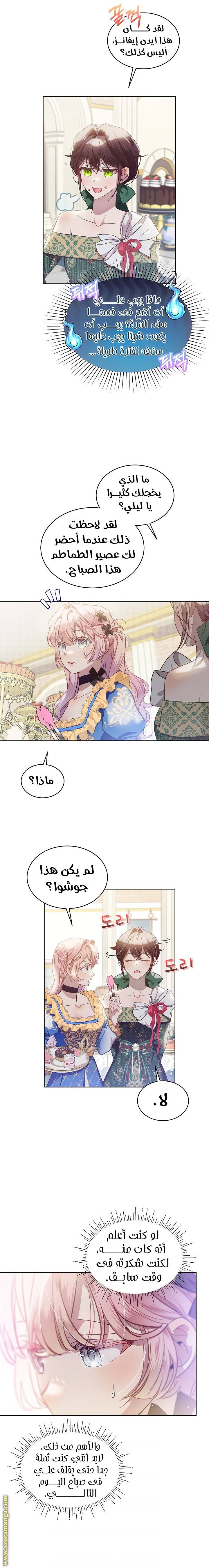 الصفحة 11
