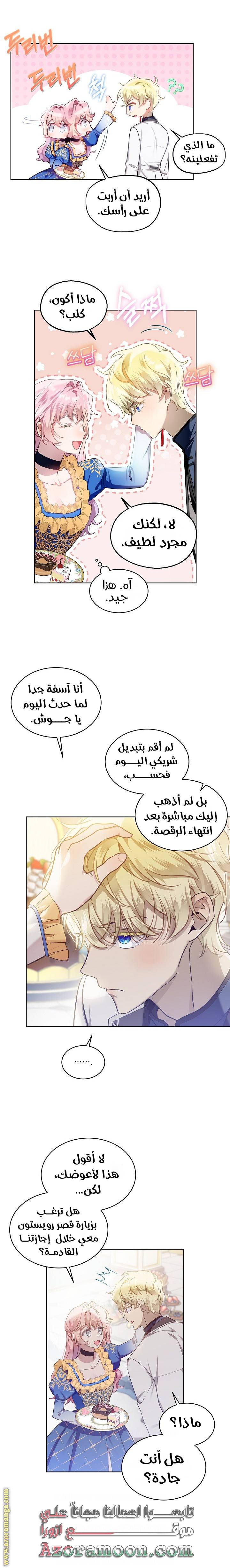 الصفحة 13
