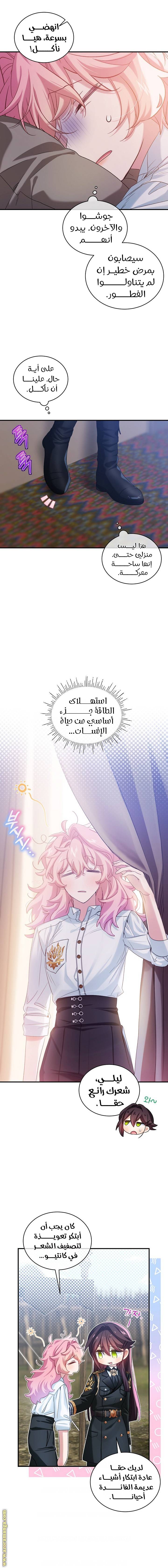 الصفحة 3