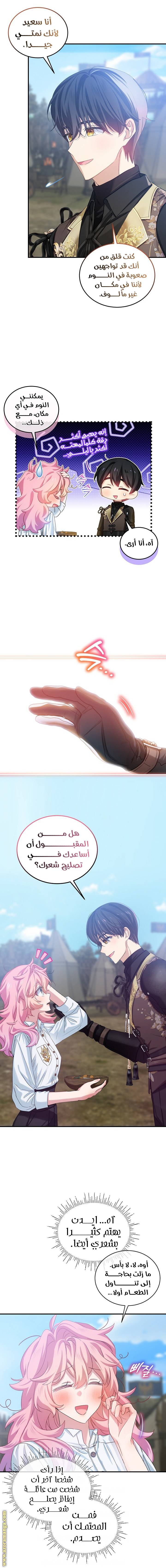 الصفحة 5
