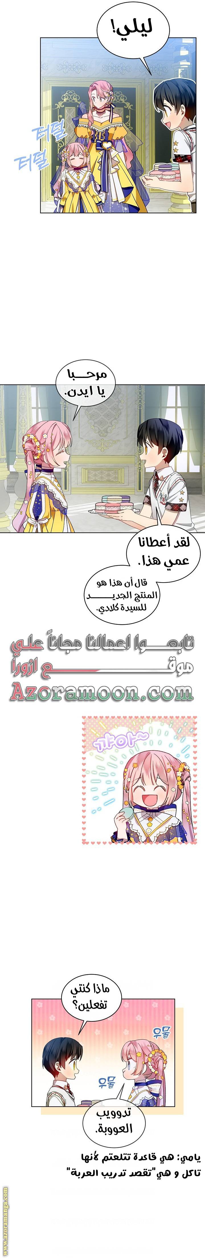 الصفحة 13