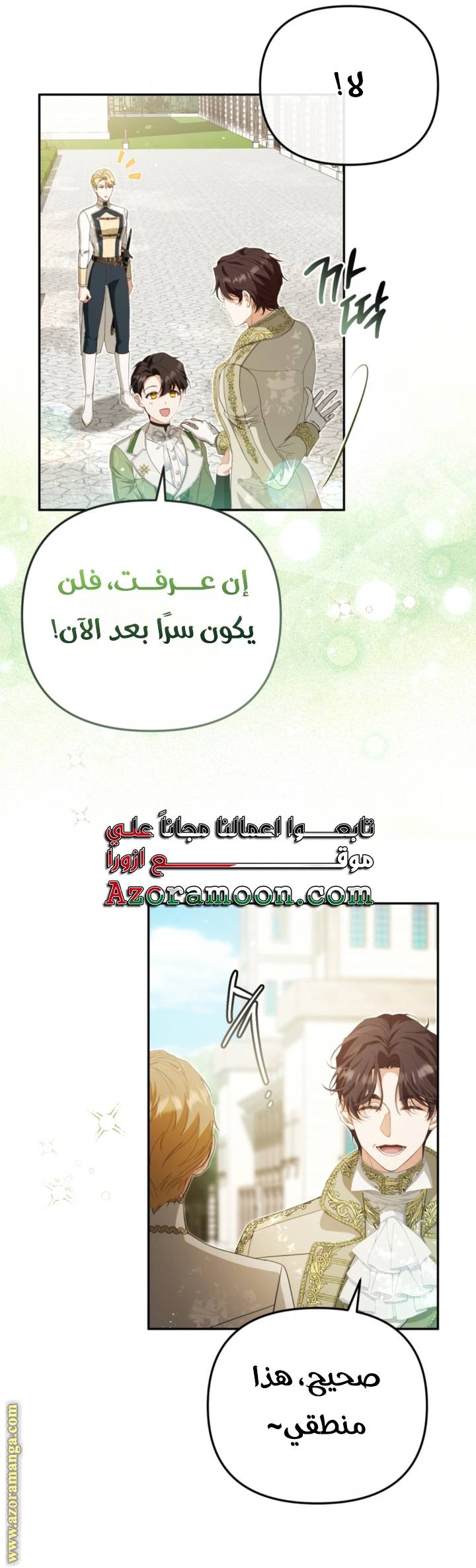الصفحة 17