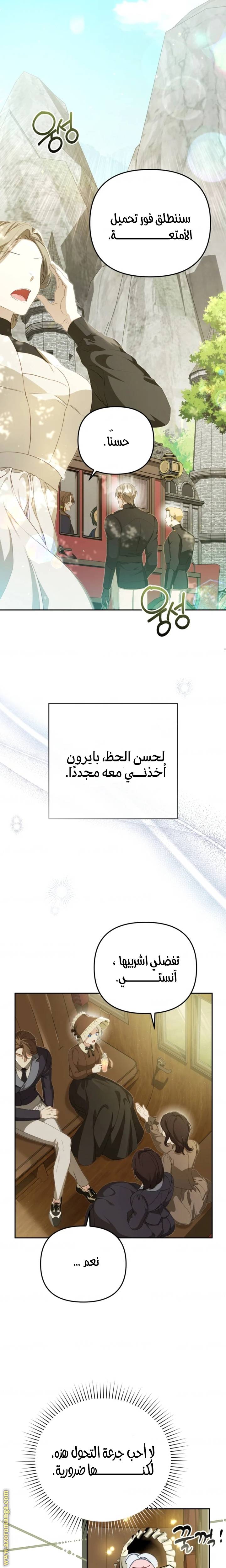 الصفحة 11