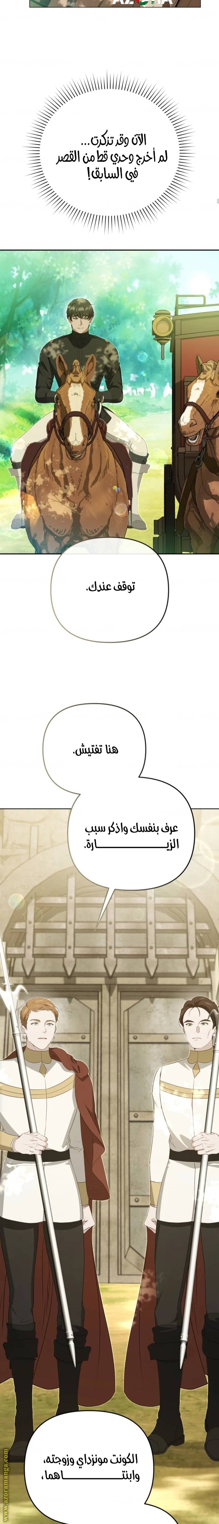 الصفحة 17
