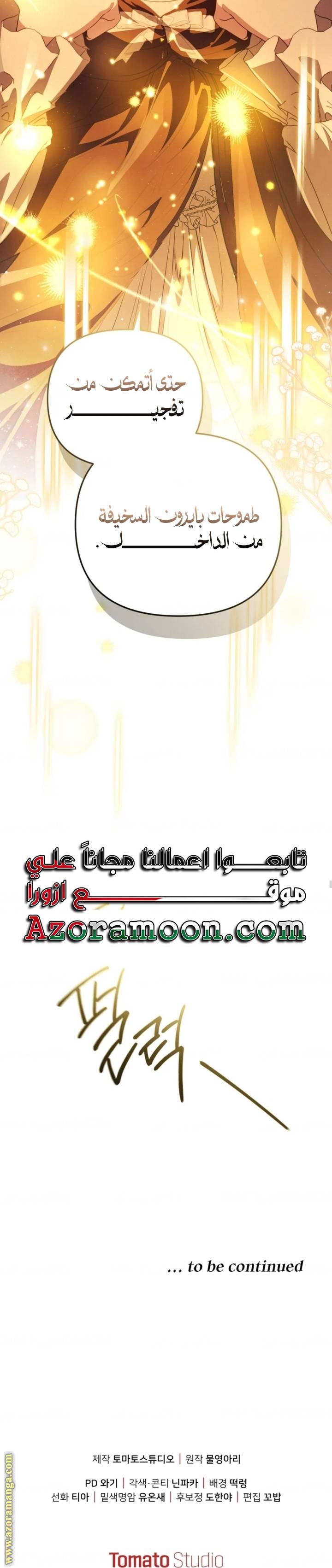 الصفحة 25