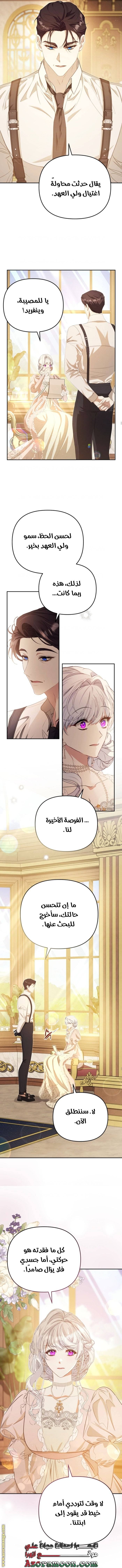 الصفحة 8