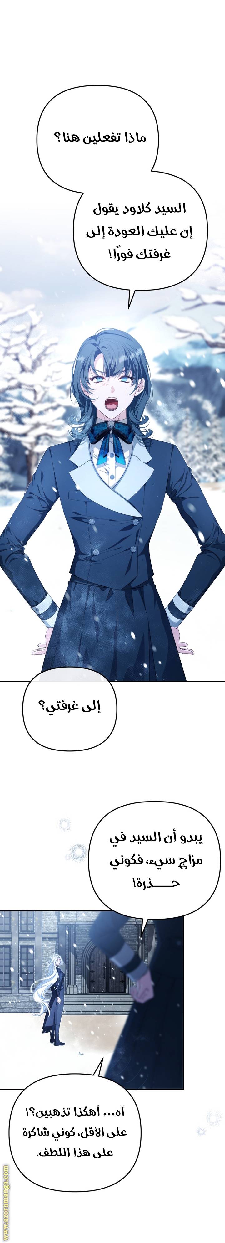 الصفحة 19