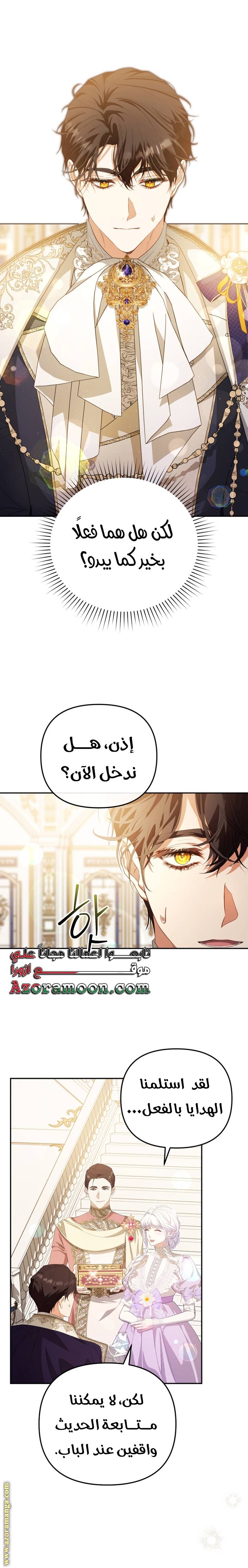الصفحة 17
