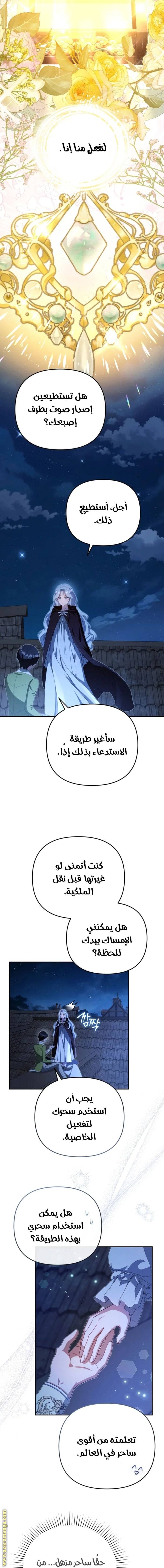 الصفحة 3