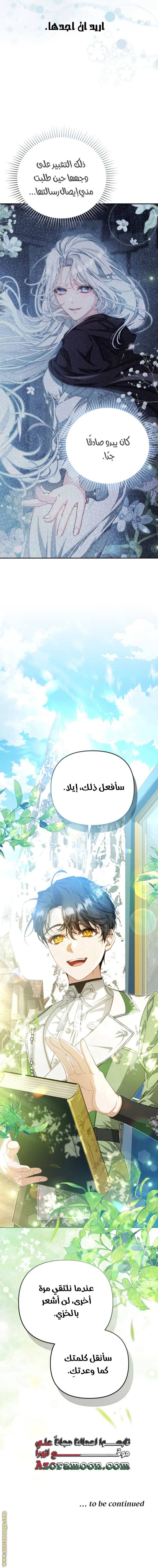 الصفحة 13