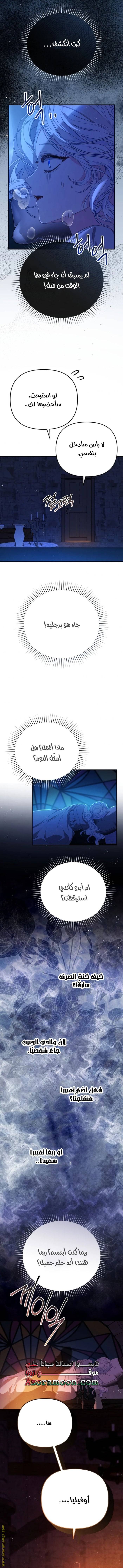 الصفحة 12