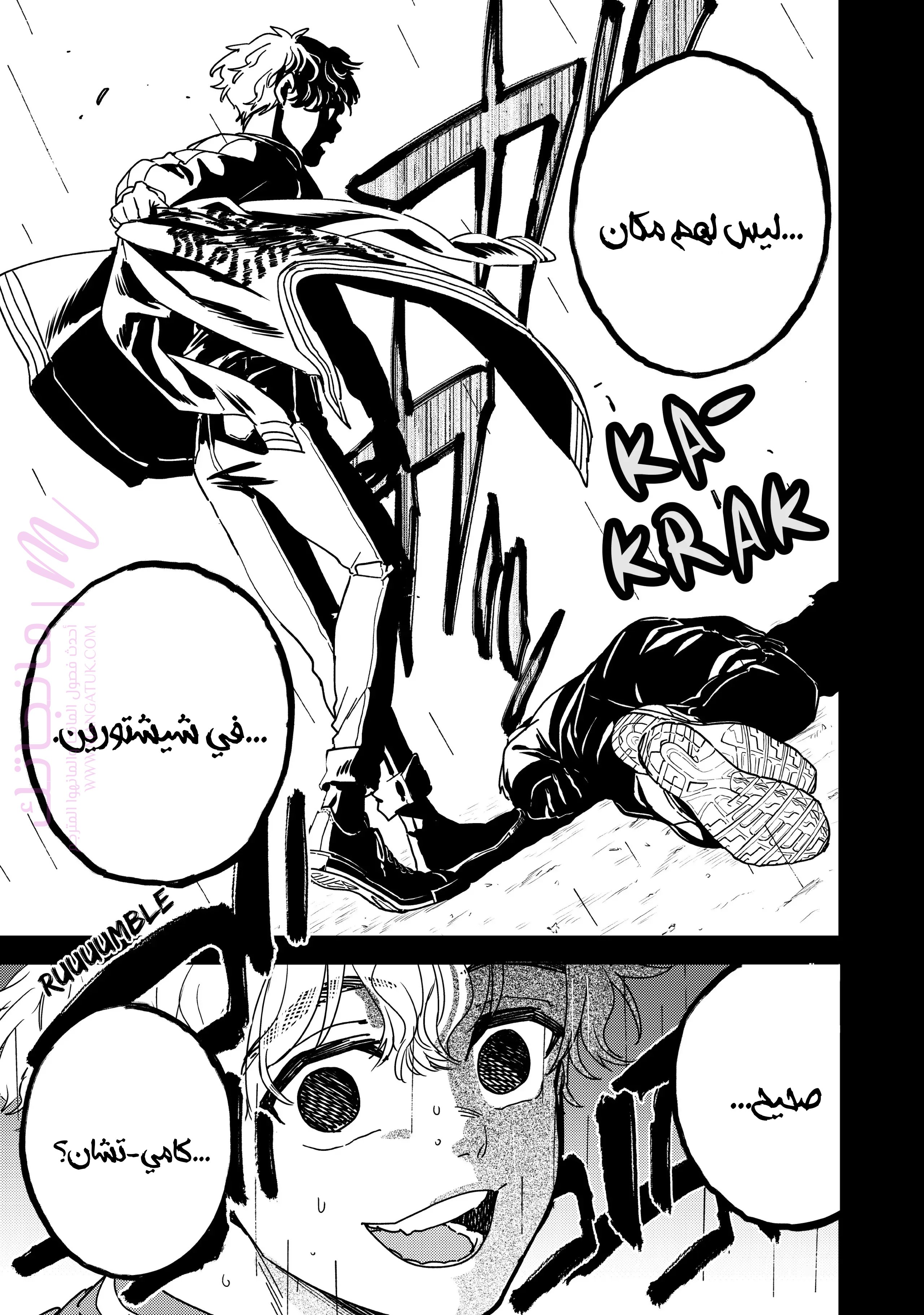 الصفحة 13