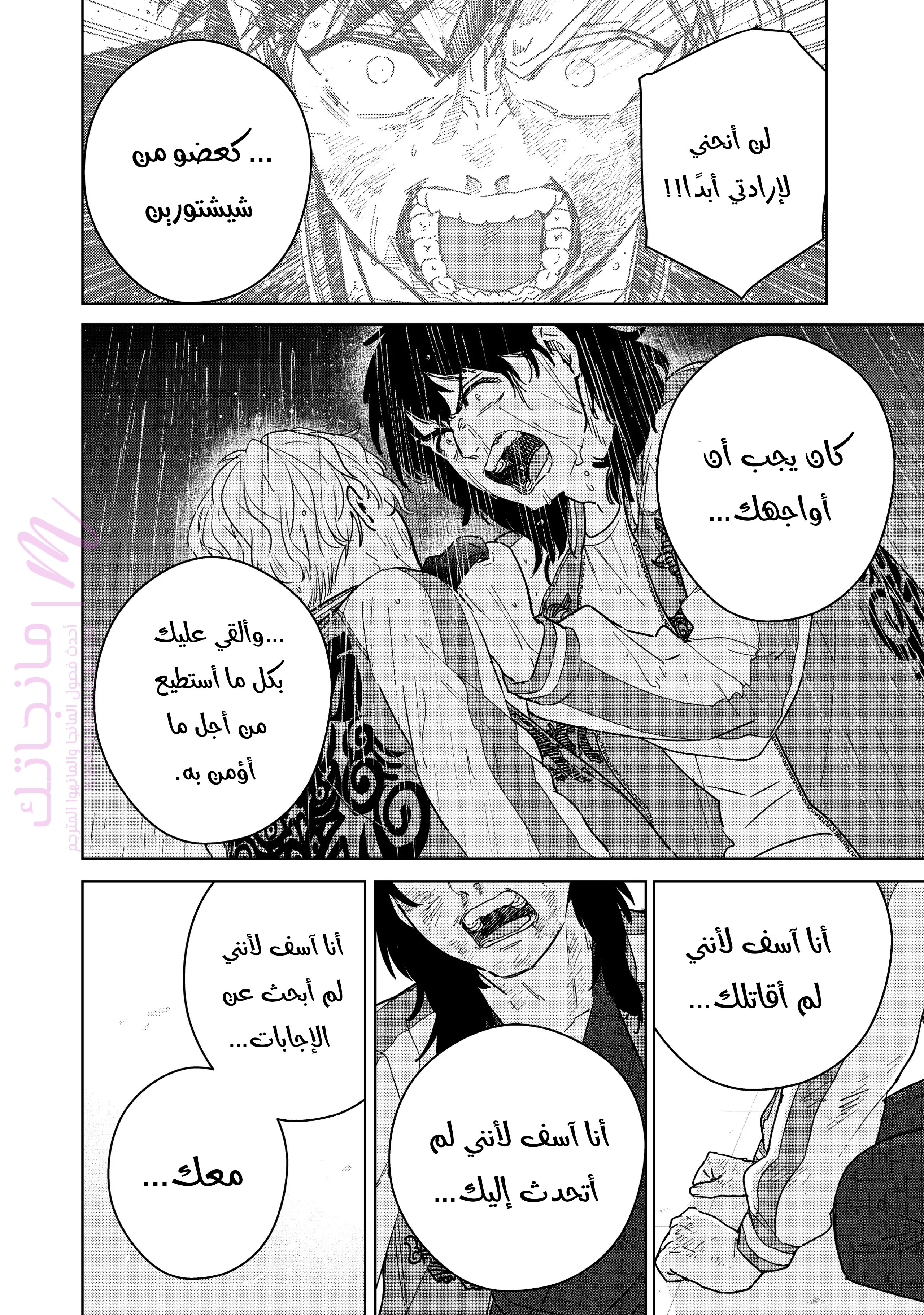 الصفحة 12