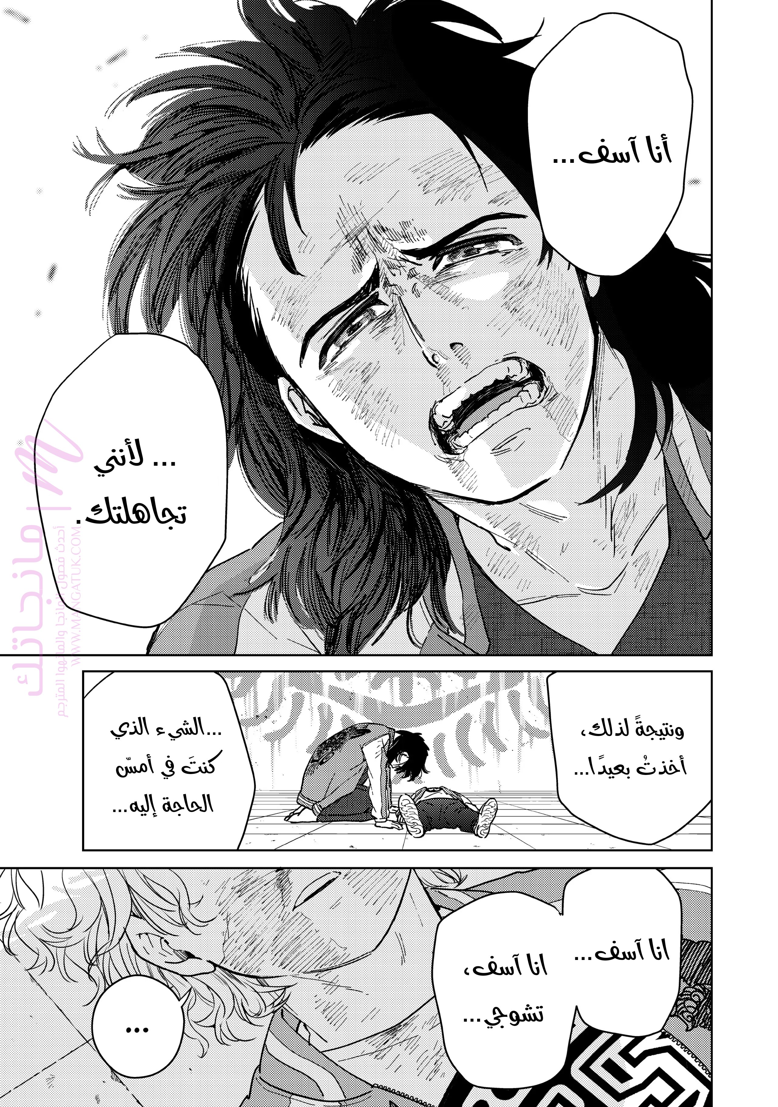الصفحة 13