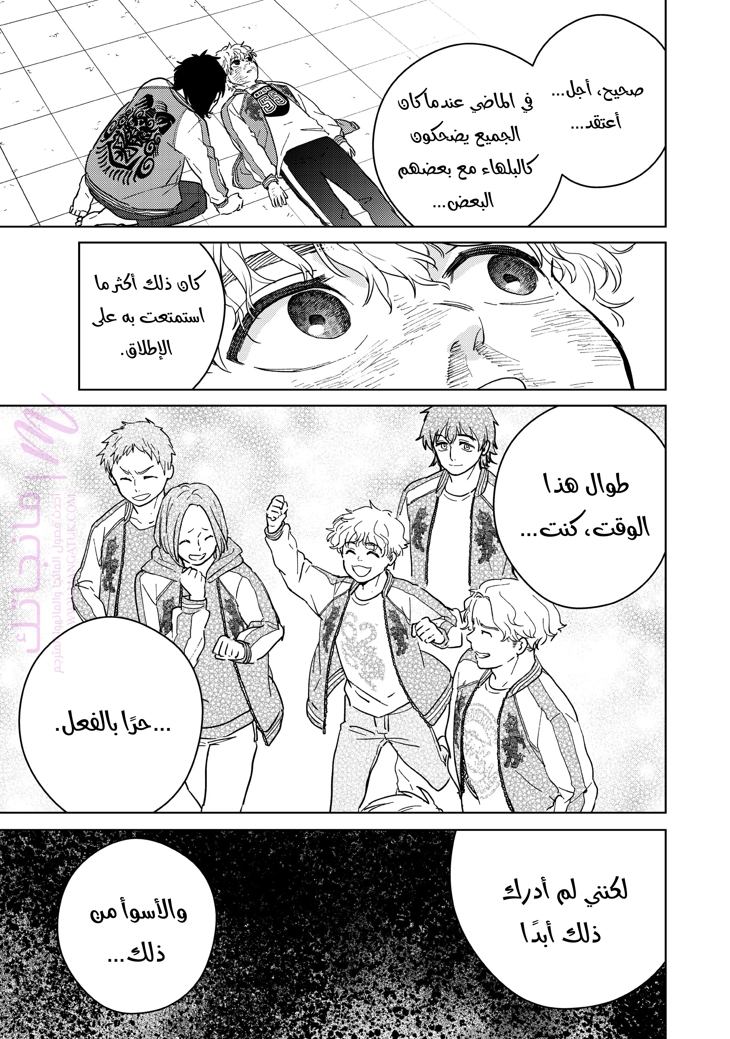 الصفحة 17